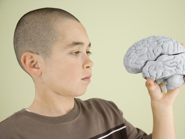 How Poverty Changes Kids’ Brains